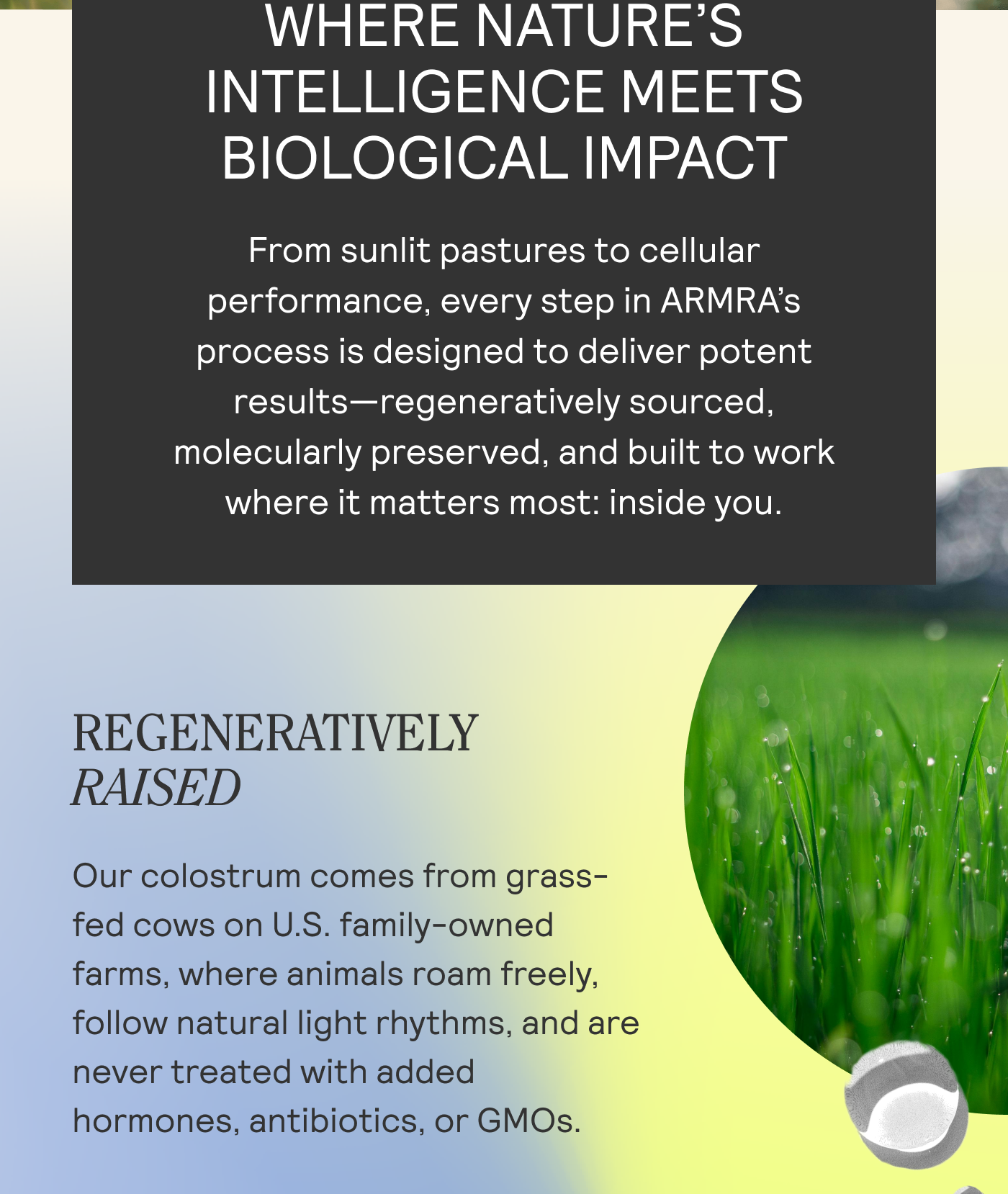 ARMRA COLOSTRUM™: WHERE NATURE’S INTELLIGENCE MEETS BIOLOGICAL IMPACT From sunlit pastures to cellular performance, every step in ARMRA's process is designed to deliver potent results—regeneratively sourced, molecularly preserved, and built to work where it matters most: inside you.