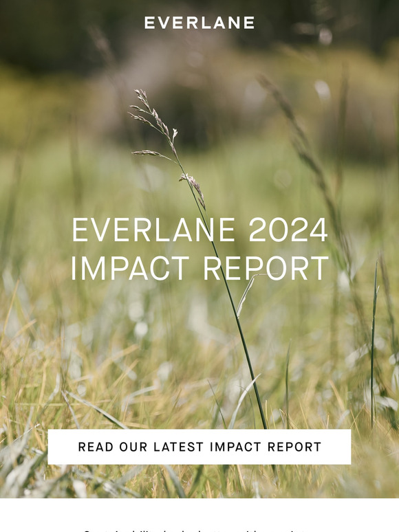 Our Annual Impact Report Is Here