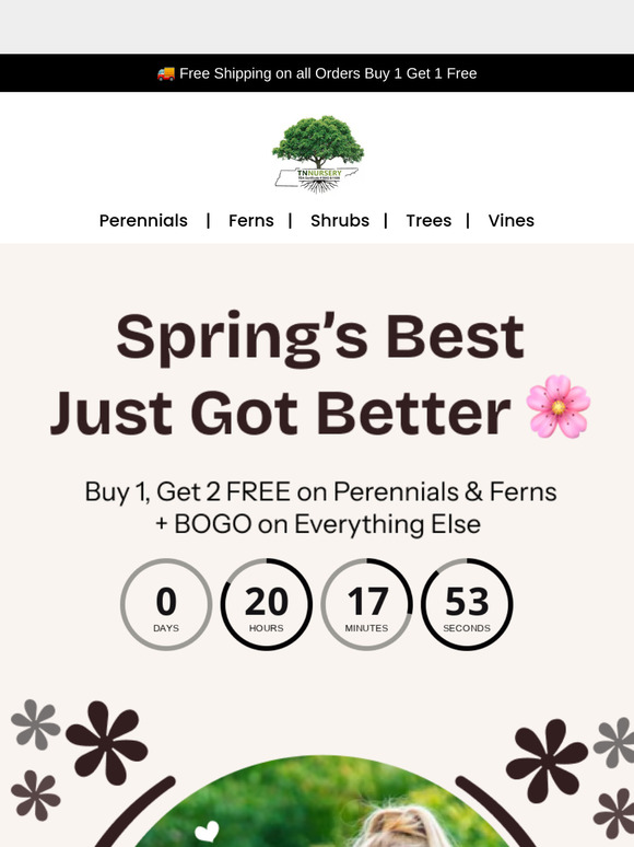 Perennials & Ferns — Now Triple the Beauty 🌼