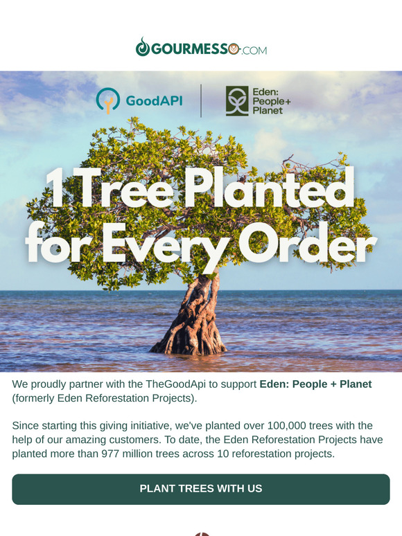 Support reforestation on Earth Day & beyond! 🌎