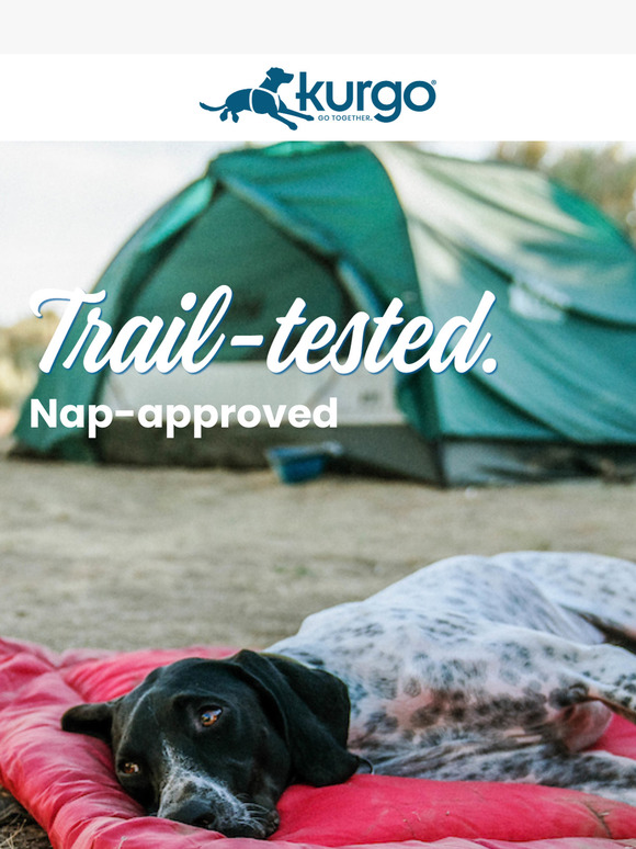 Our Top-Rated Bed on SALE