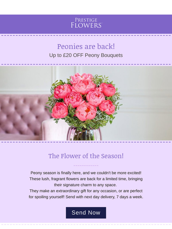 Quick, Peonies are back!🌸
