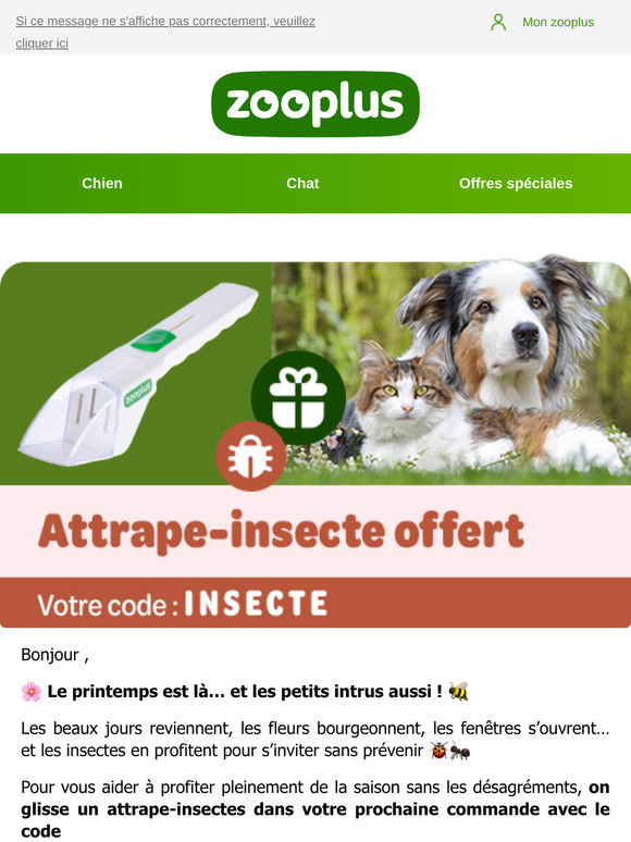 Un petit cadeau pour un printemps plus tranquille 🐝