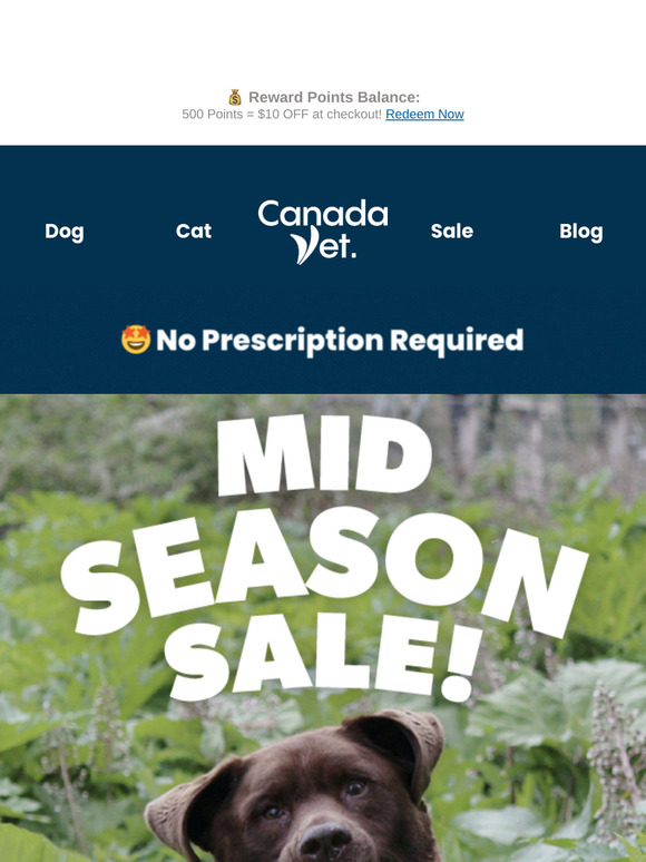 Mid-Season Must-Haves: Save Up to 25% + 2x Points!