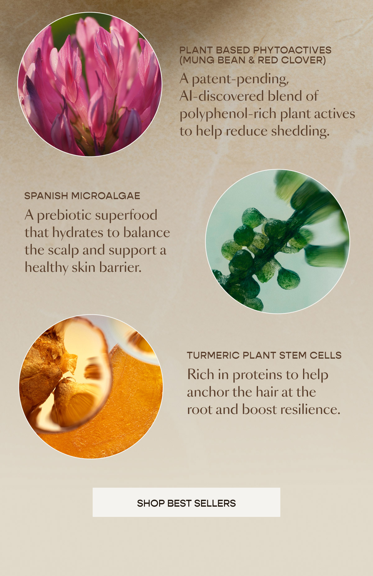 Plant Based Phytoactives (Mung Bean & Red Clover)