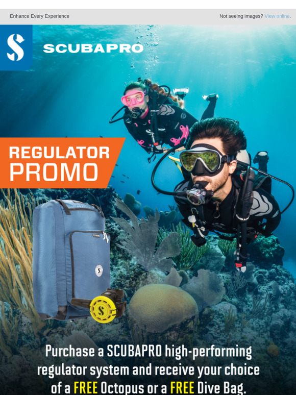 Spring Regulator Promo