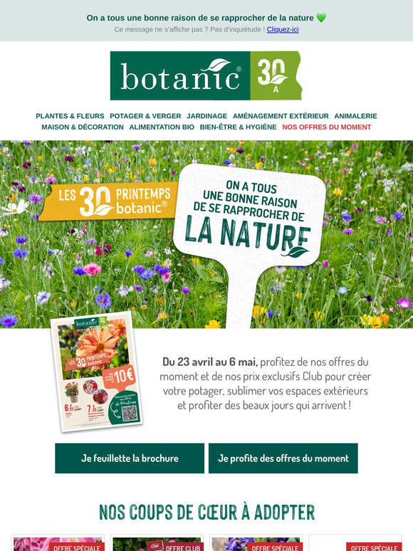 Faites fleurir votre jardin avec nos offres du moment🌸