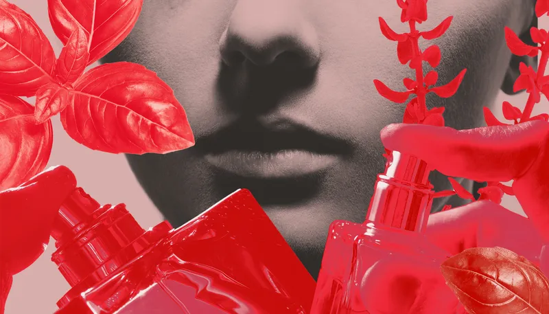 My GLP-1 Medication Changed the Way Perfume Smells to Me