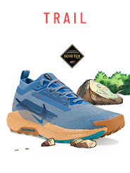 Nike Pegasus Trail 5 Gore-Tex