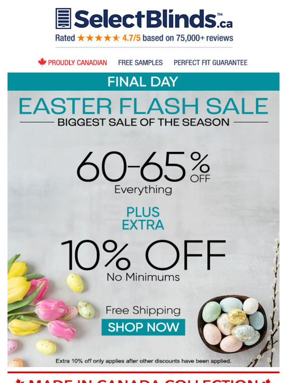 🚨 FINAL DAY! Biggest Sale of the Season ends tonight