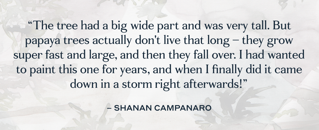 Quote from Shanan, Founder