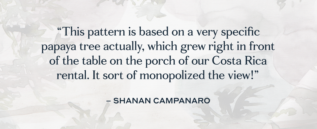 Quote from Shanan, Founder