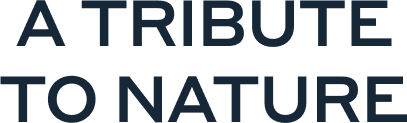 A tribute to nature