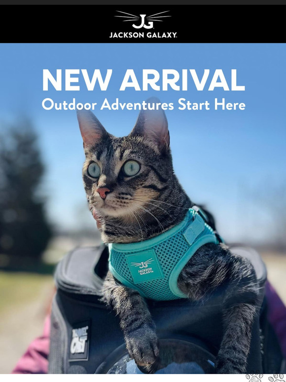 NEW: Just in Time for Spring