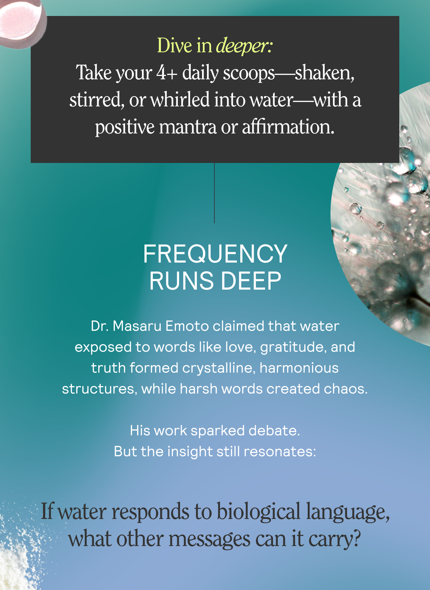 Dive in deeper: Take your 4+ daily scoops—shaken, stirred, or whirled into water—with a positive mantra or affirmation.