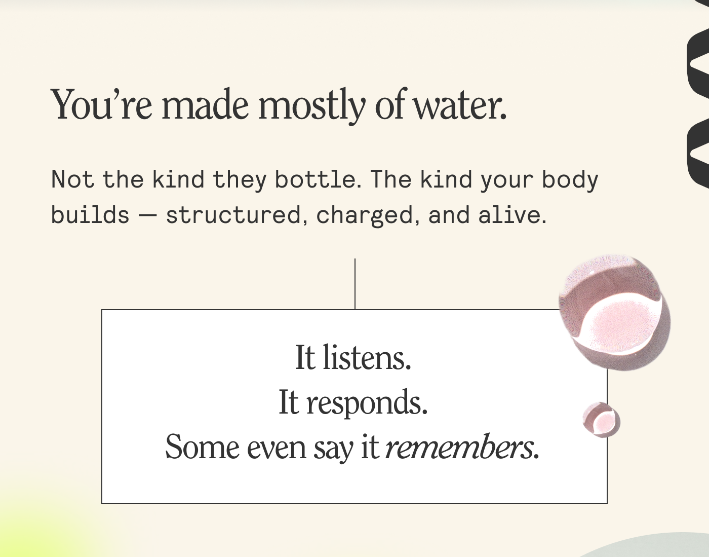 You're made mostly of water. Not the kind they bottle. The kind your body builds — structured, charged, and alive.
