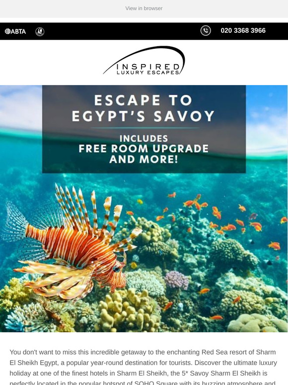 🍹 FREE Sea View Room Upgrade in Sharm El Sheikh!🌊
