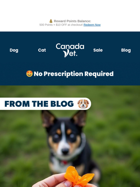 TMI? Never. Let’s Talk Dog Poop 💩