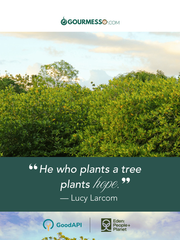 1 Tree Planted for Every Order! 🌱