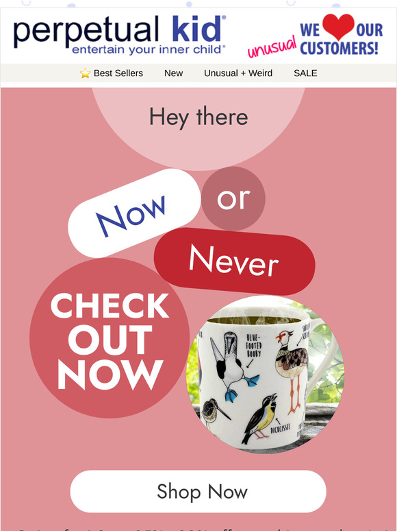 We're Closing... Don't Miss Out: Everything Must Go!