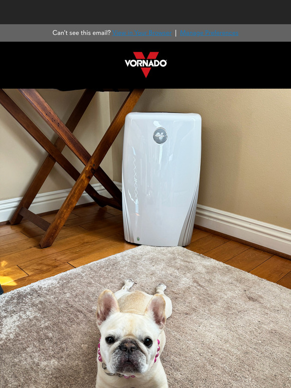 Keep Your Home Pet Dander Free