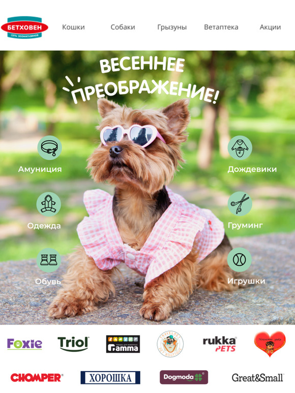 Весеннее преображение 🎀 🐩
