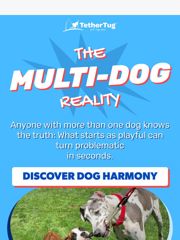 Multiple pet owners NEED this...