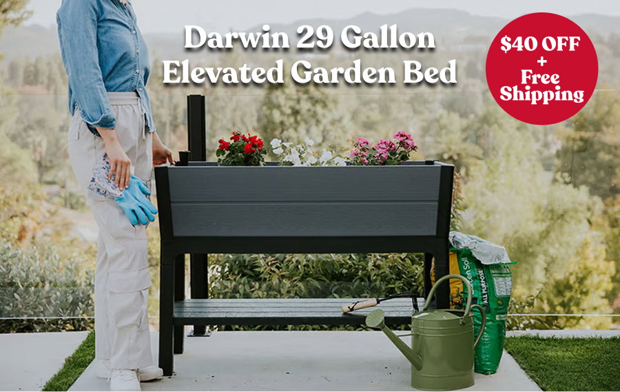 Darwin 29 Gallon Elevated Garden Bed