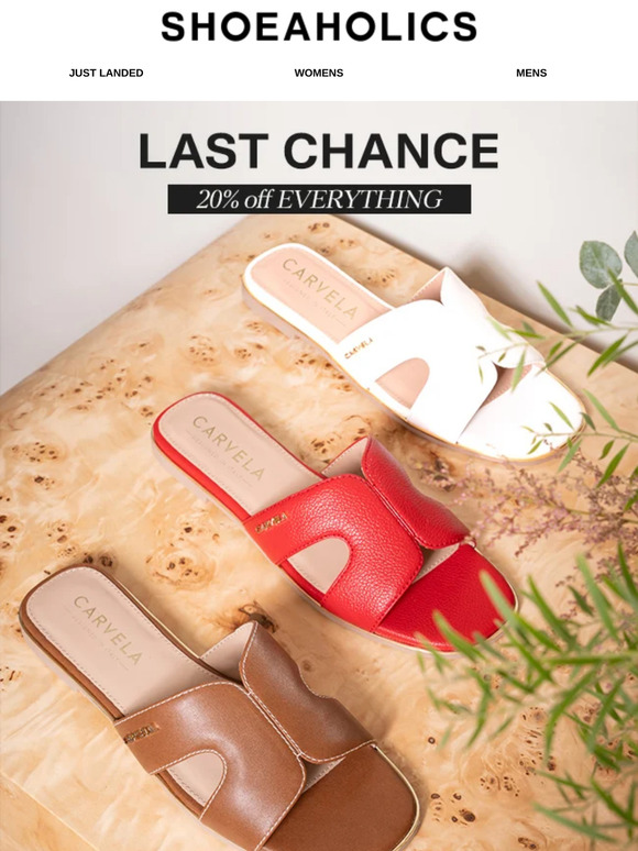Last Chance: 20% off EVERYTHING