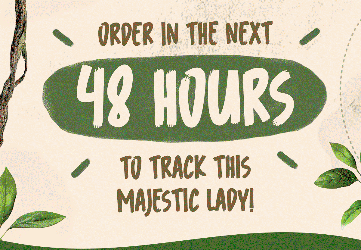 Order in the next 48 hours!
