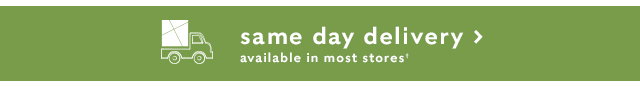 Same day delivery