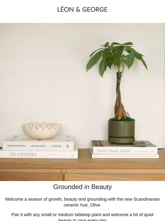 A Color Rooted in Nature