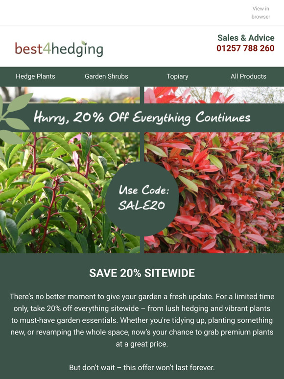 Save 20% Just In Time For Summer ☀️🌿