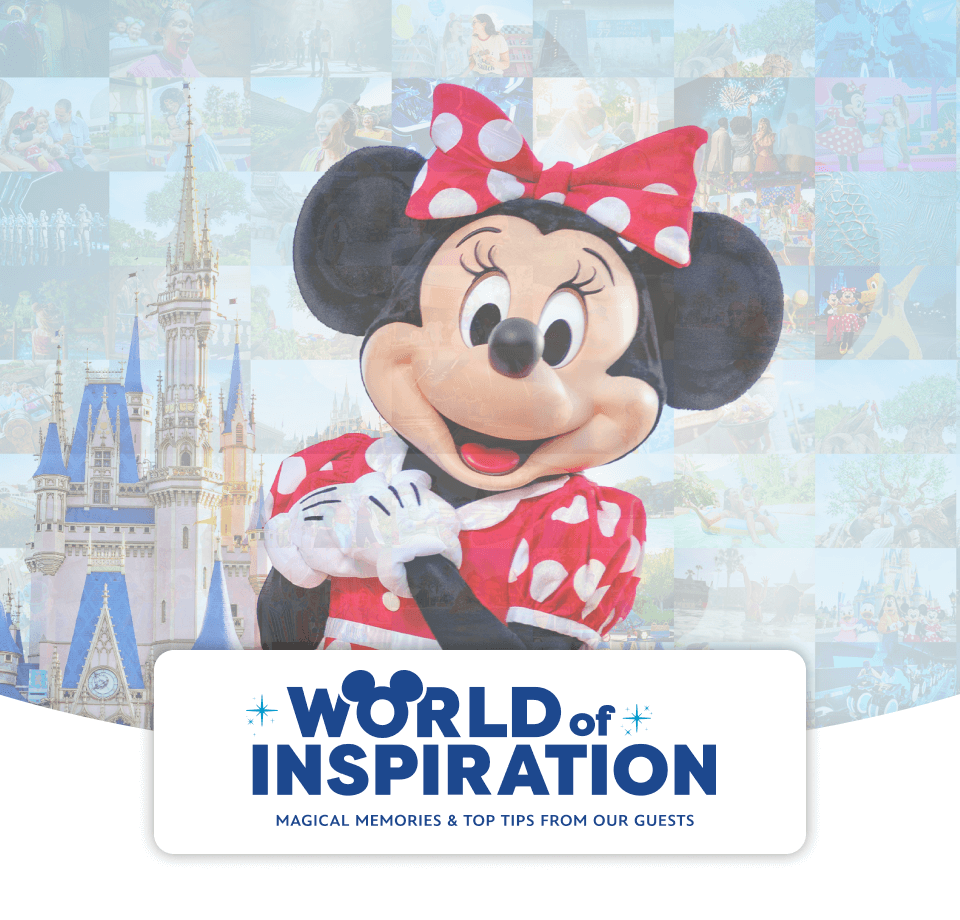 World of inspiration - Magical memories & top tips from our guests