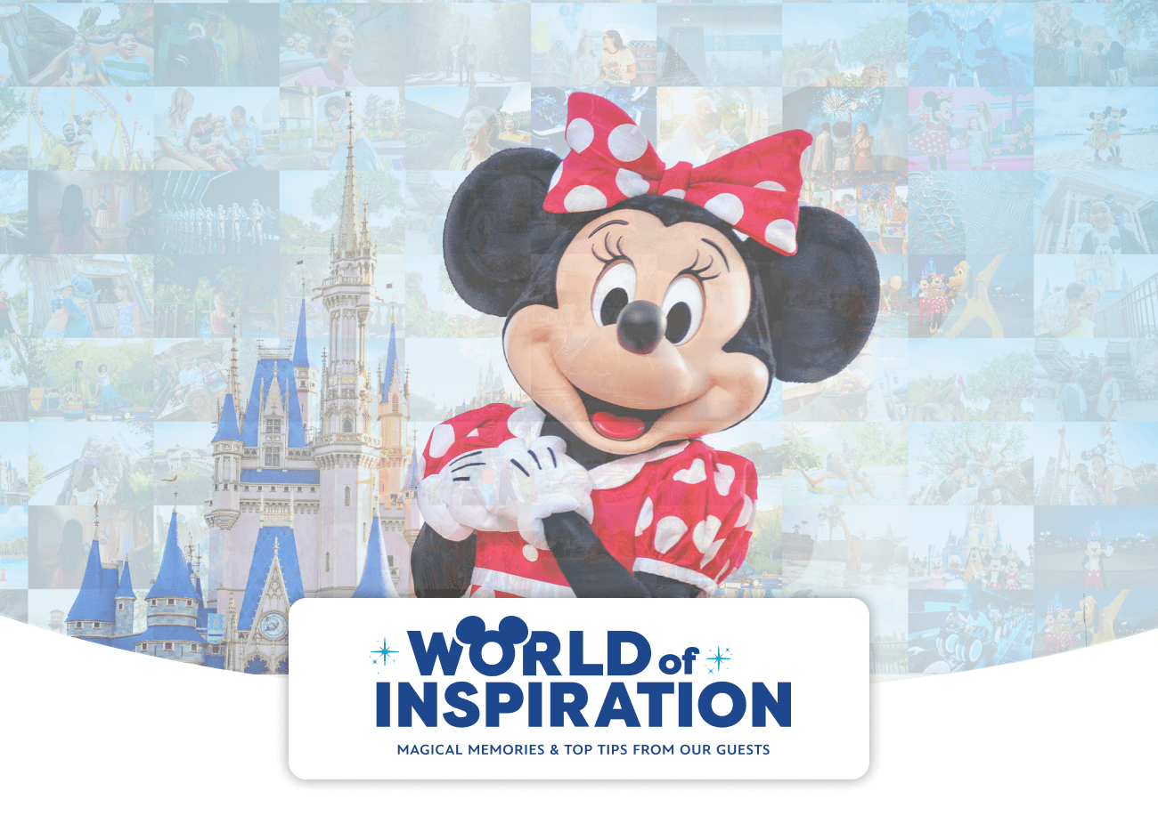 World of inspiration - Magical memories & top tips from our guests