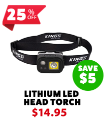 Plus Lithium LED Head Torch