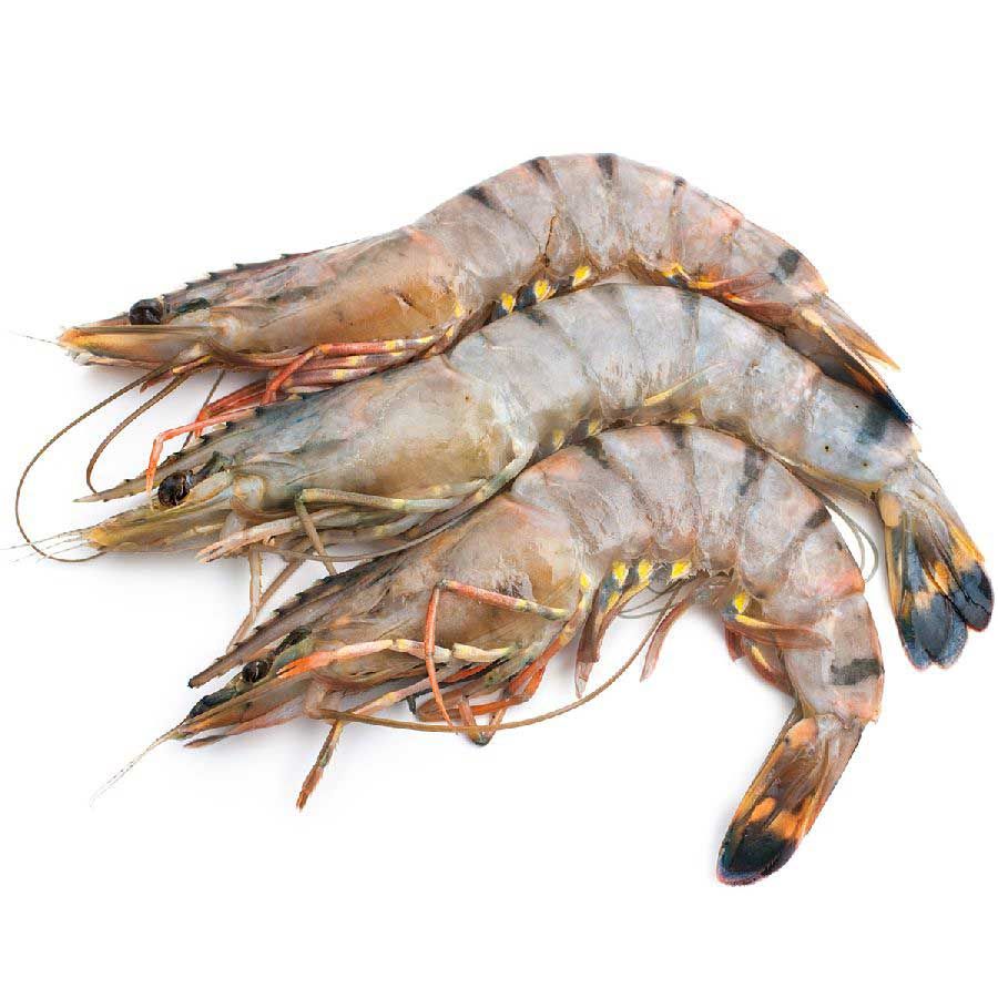 Gambas / Black Tiger Shrimps