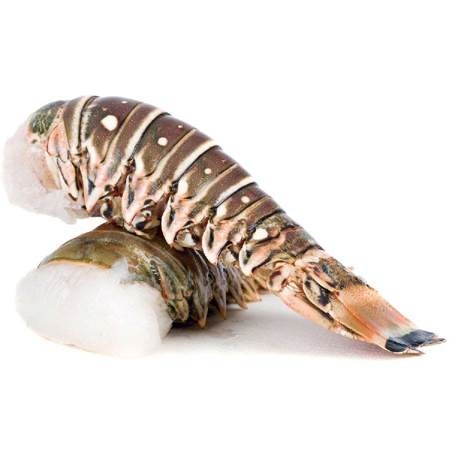 Langusten Schwanz Rock Lobster Tail