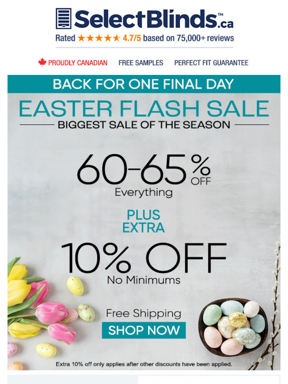 📣 Big News! BIGGEST SALE of the SEASON is back for one final day