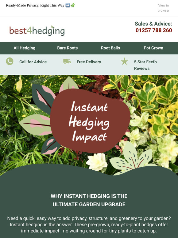 Your Garden Glow-Up Starts with Instant Hedges 🌿✨