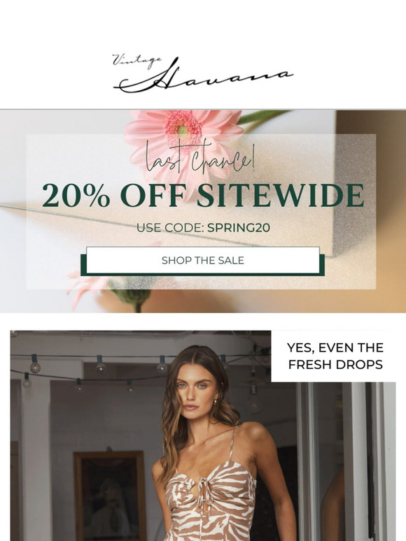 ✨ New Arrivals? 20% Off.