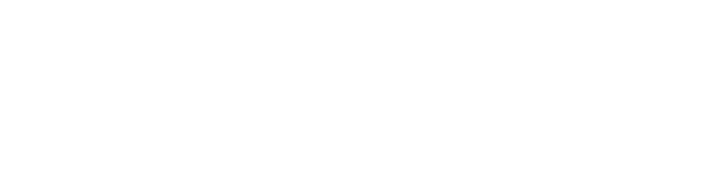 Fox Nation Logo