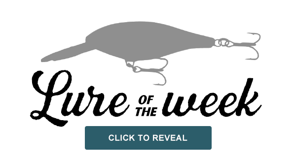 Fishing Lure of the week. Click to reveal.