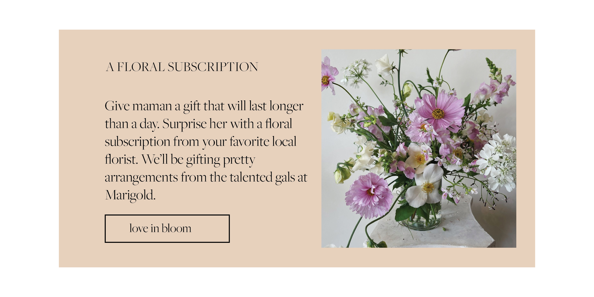 Elsie’s eight May edition etcetera on the blog sustainable brand