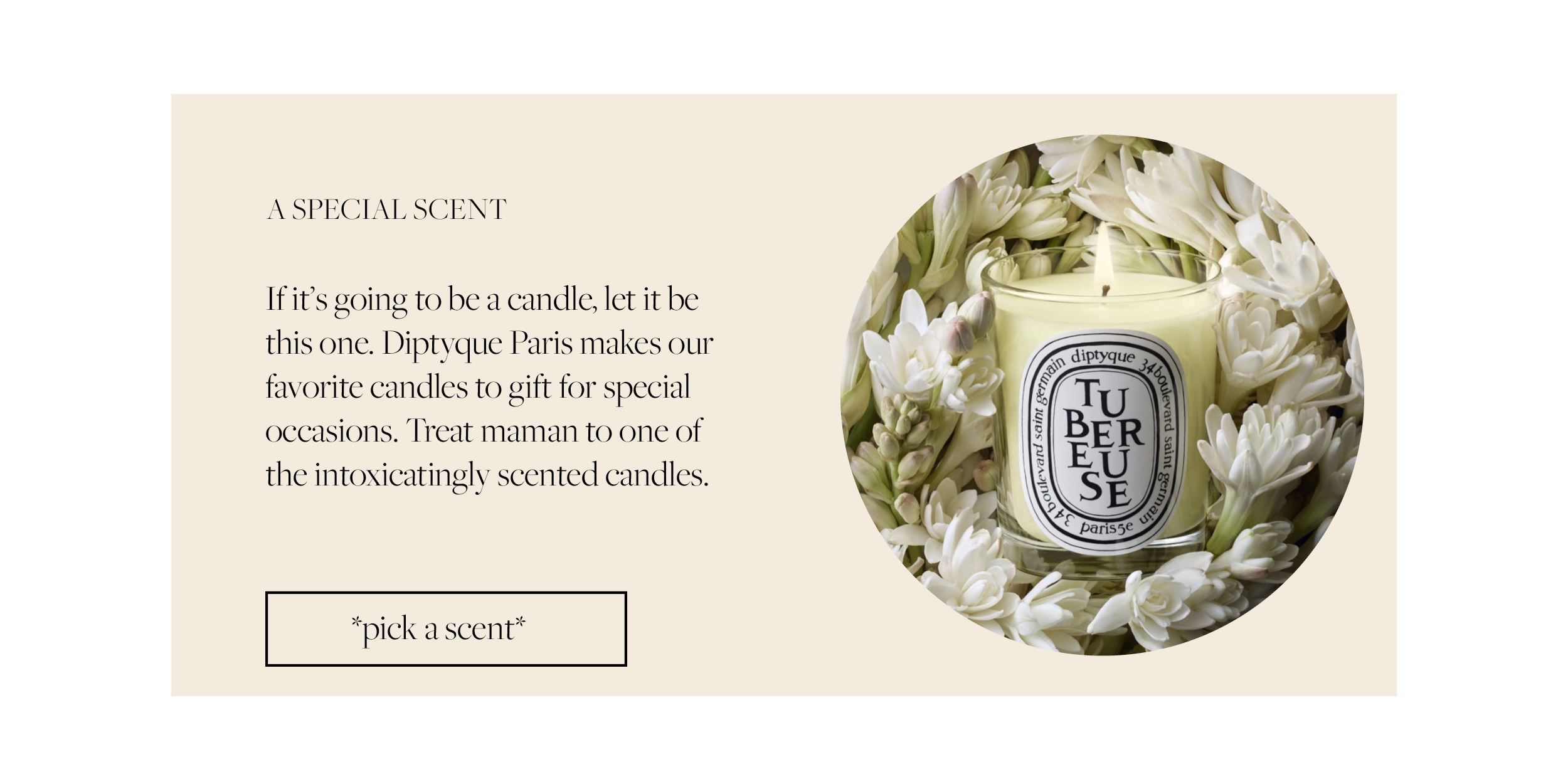 Elsie’s eight May edition etcetera on the blog sustainable brand