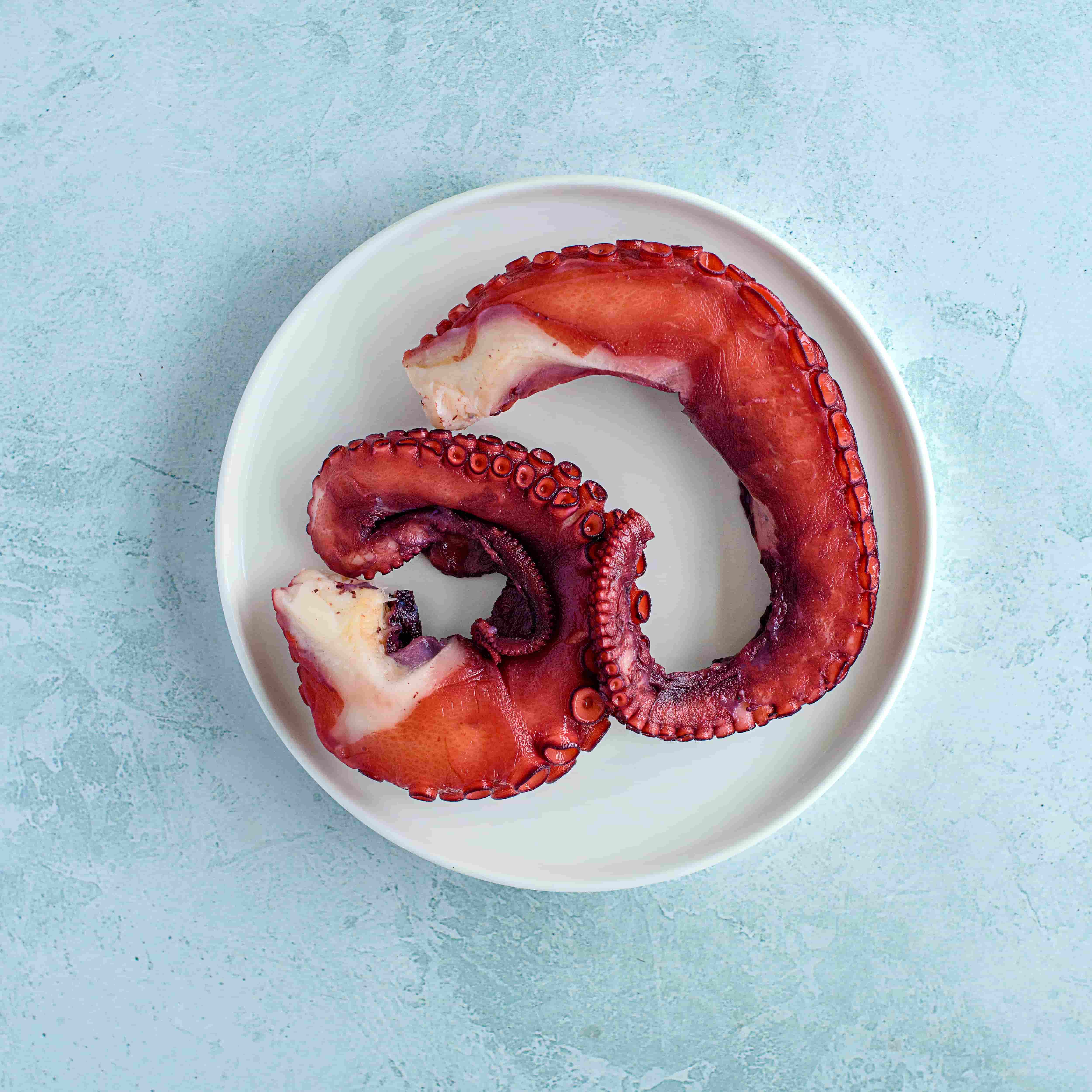 Image of Cooked Wild Octopus Tentacle