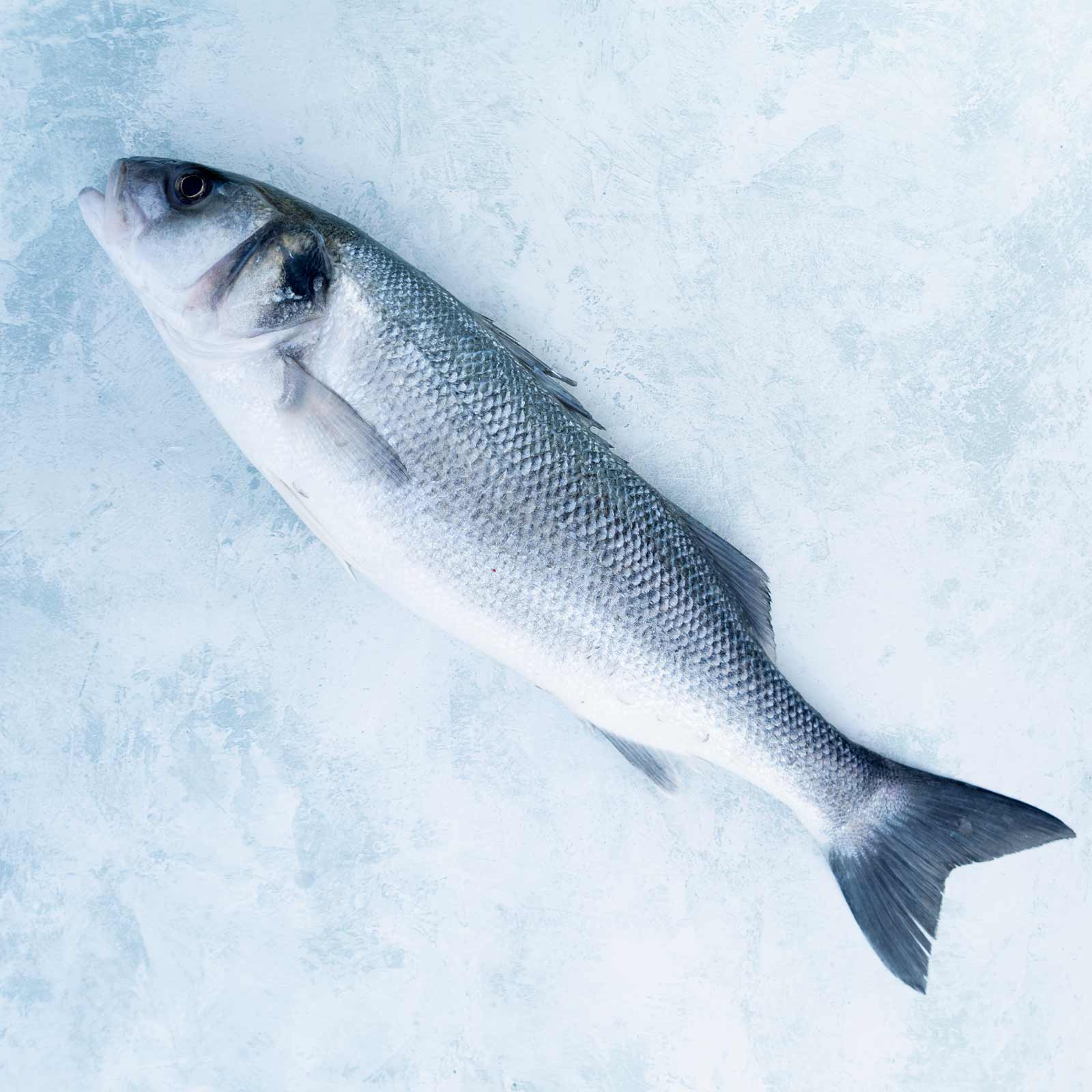 Image of Whole Wild British Sea Bass - Cleaned