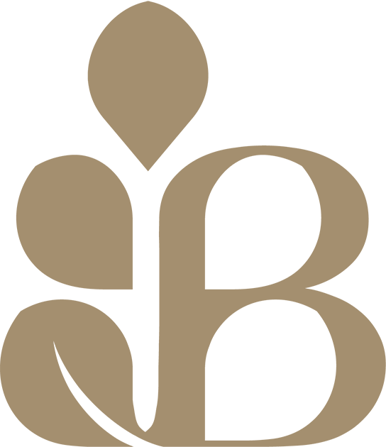 Bronson footer logo