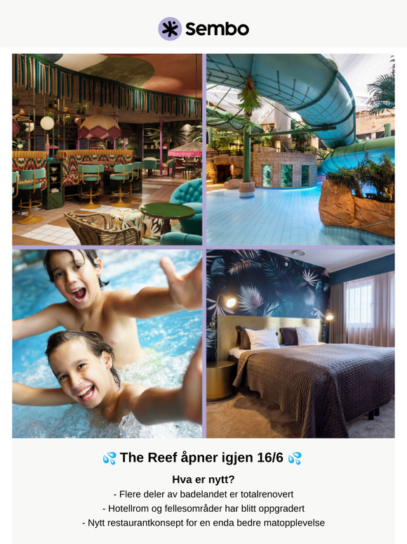 🌴🇩🇰 Nyrenovert og klart: Opplev nye The Reef i sommer! 💦