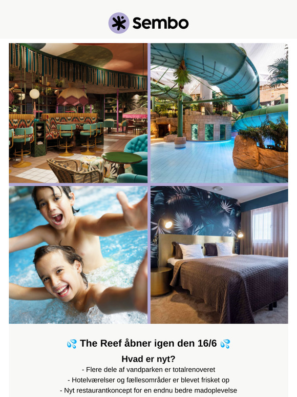 🌴💦  Nyrenoveret og klar: Oplev det nye The Reef i sommer!🇩🇰